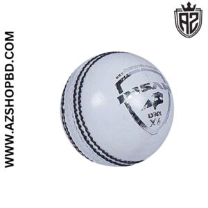 Ishan Cricket Ball