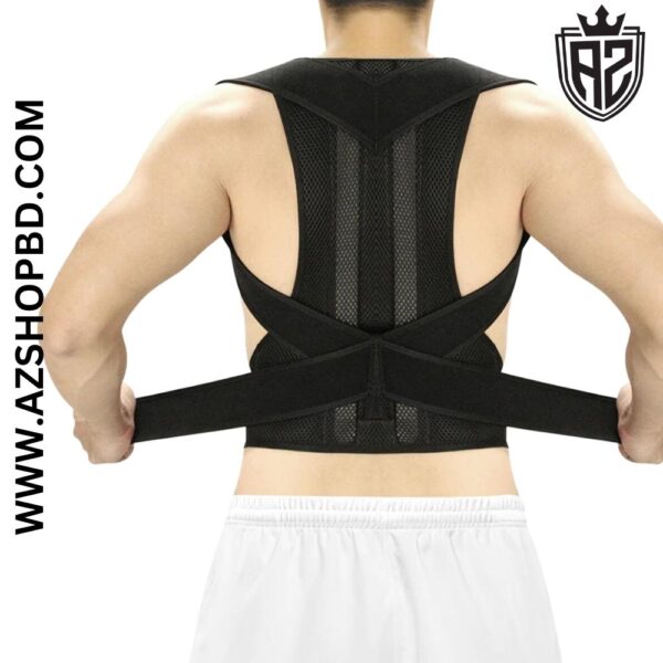 Back Support Belt