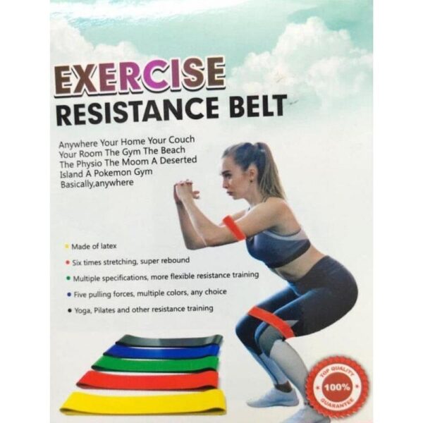 Exercise Resistance Belt 5 PIC SET - Image 4