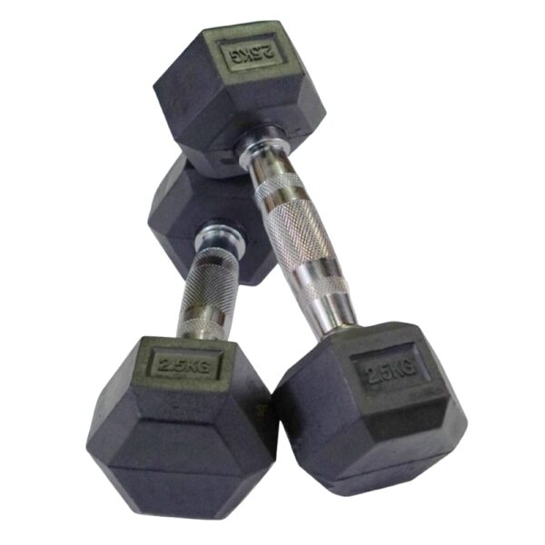 Dumble 2.5 KG - Image 2