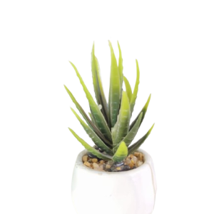 Artificial Small Bonsai Tree in Pot – Realistic Indoor Green T Plant for Home & Office Décor